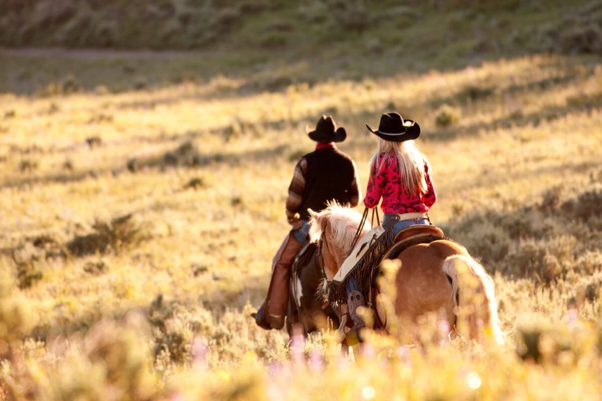 Two cowboys riding Montana mountain horses in a field at sunset.