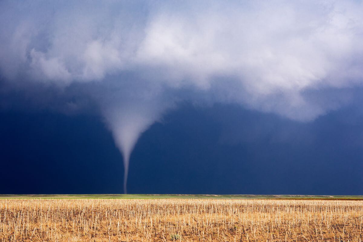 A Montana tornado in the middle of a field.