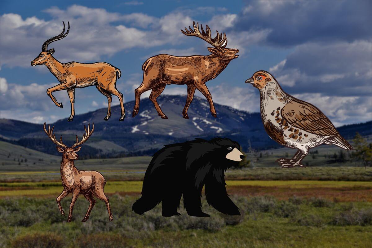 Illustration of the best game animals for DIY Montana hunting against a scenic landscape background.