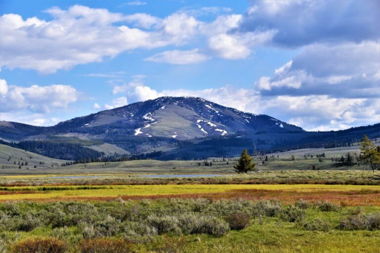 Montana's Hidden Gem: Basin Creek Campground - Where Wilderness Meets Comfort