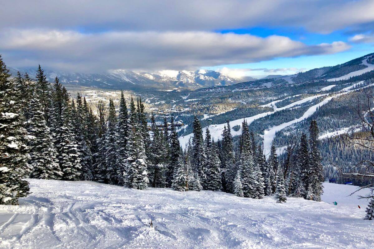 A ski slope in Montana with trees and mountains in the background.