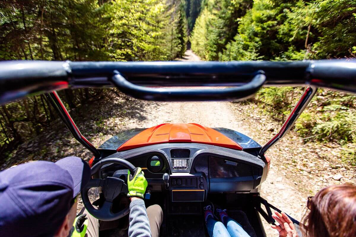 Two people ride a UTV through a forest trail during a Montana UTV tour.