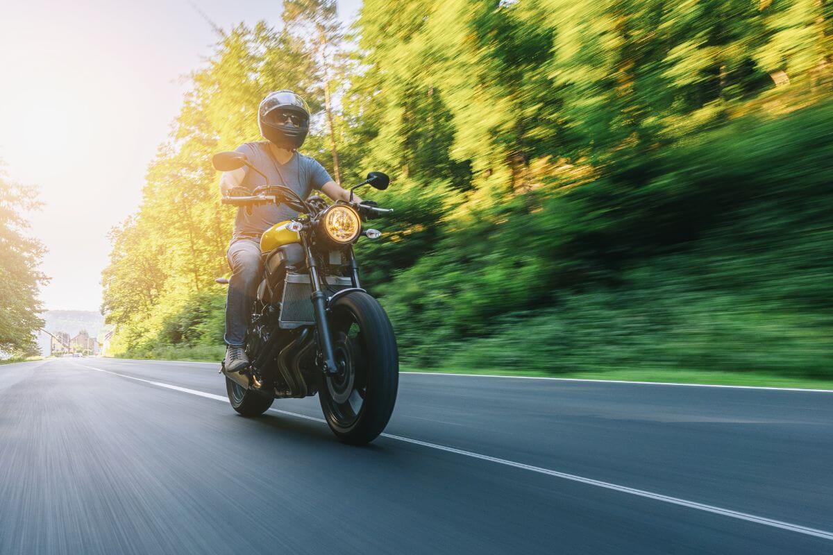 A motorcyclist enjoys a sunny ride on a Montana road.