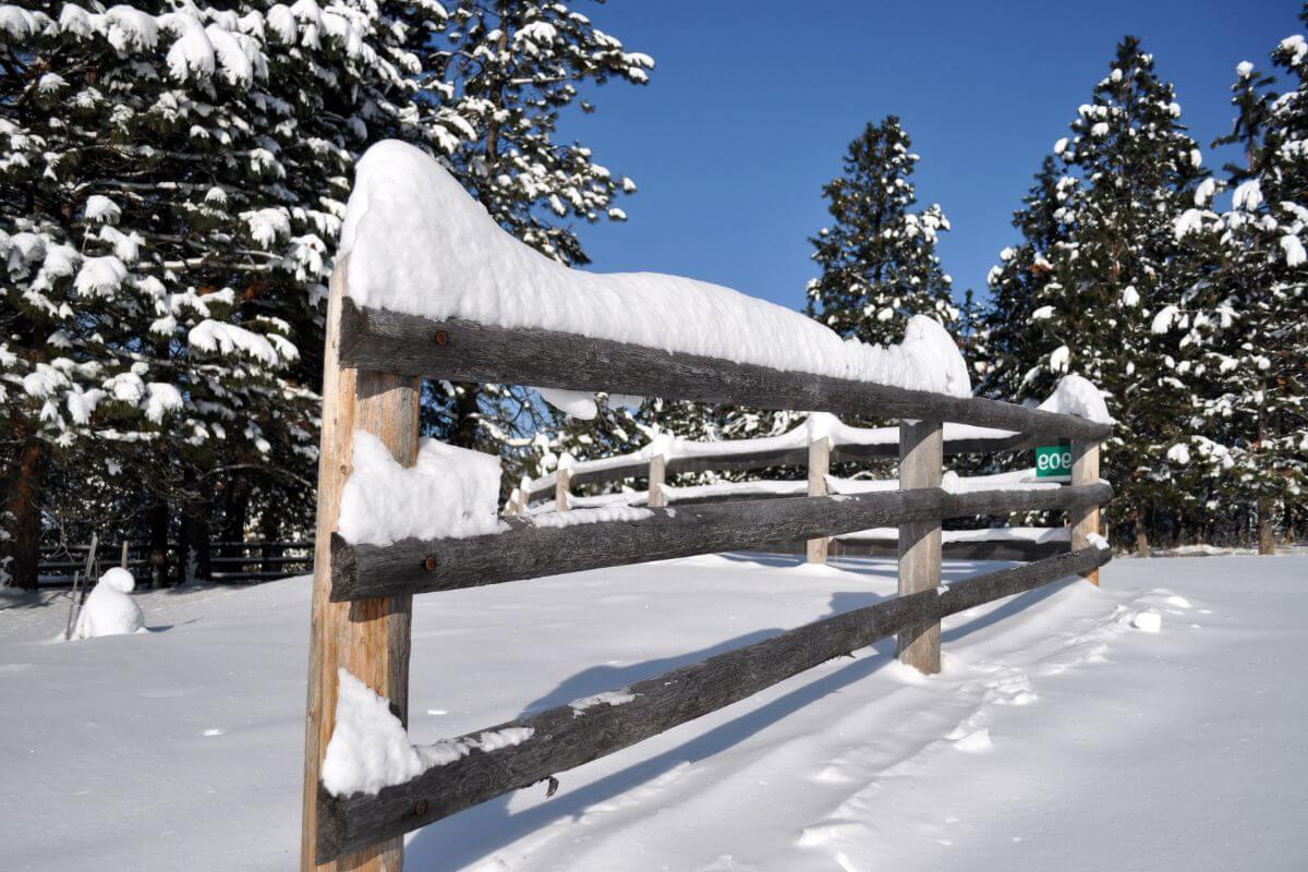 A snow-covered wooden fence in Montana in December.