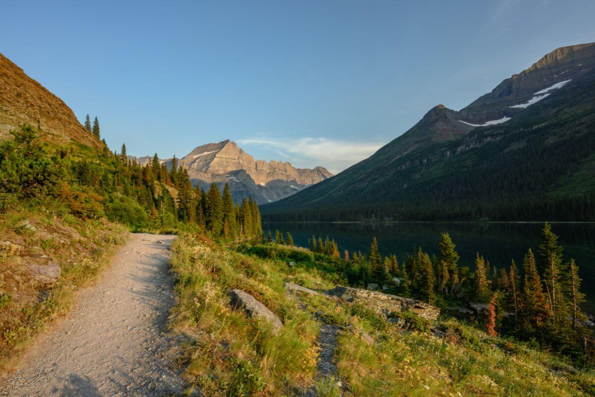 The Grinnell Glacier Trail winds through lush greenery and dense trees, leading to a serene lake surrounded by towering rocky mountains under a clear blue sky.