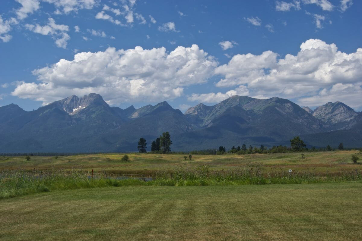 A scenic view of Mission Mountain Tribal Wilderness, featuring a majestic mountain range in the background under a partly cloudy sky