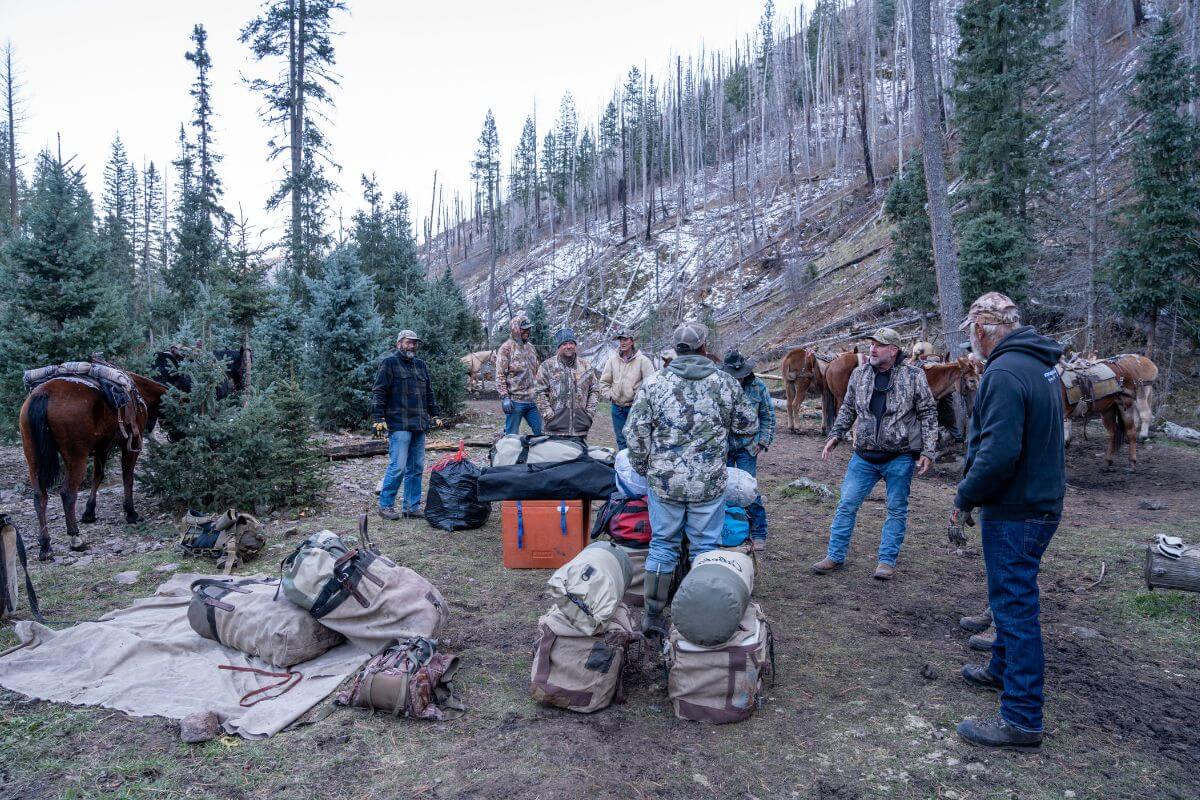 A group of hunters in Montana ready their gears and supplies for hunting in a forest