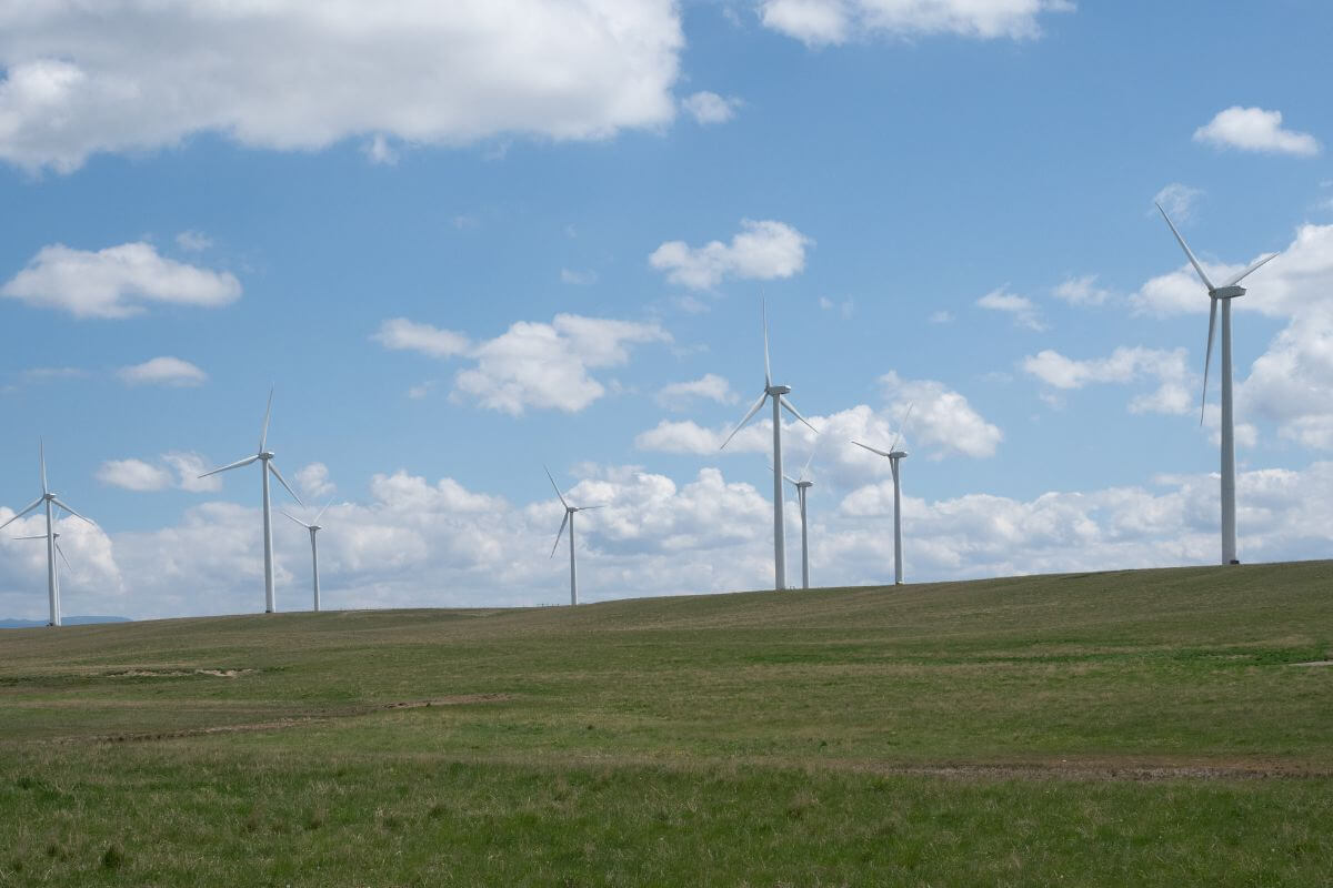 A Wind Turbine Farm in Montana