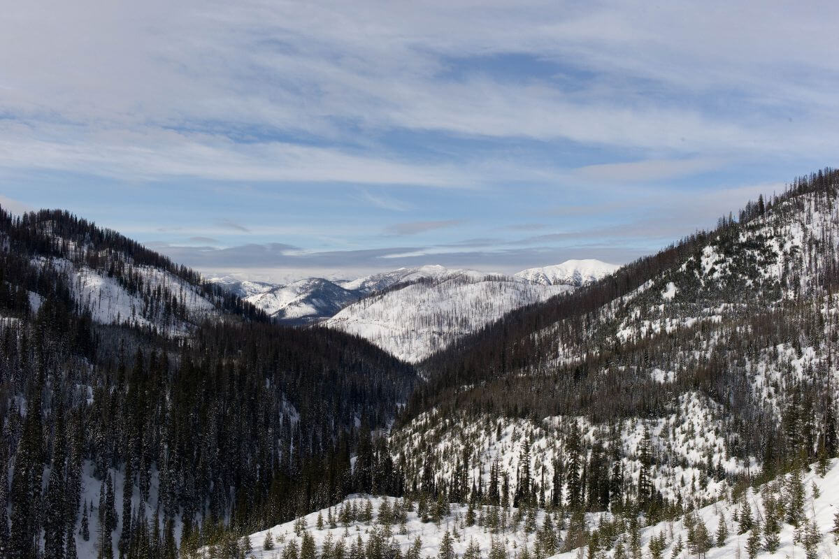 A view of a Montanan snow covered valley with mountains in the background in March.