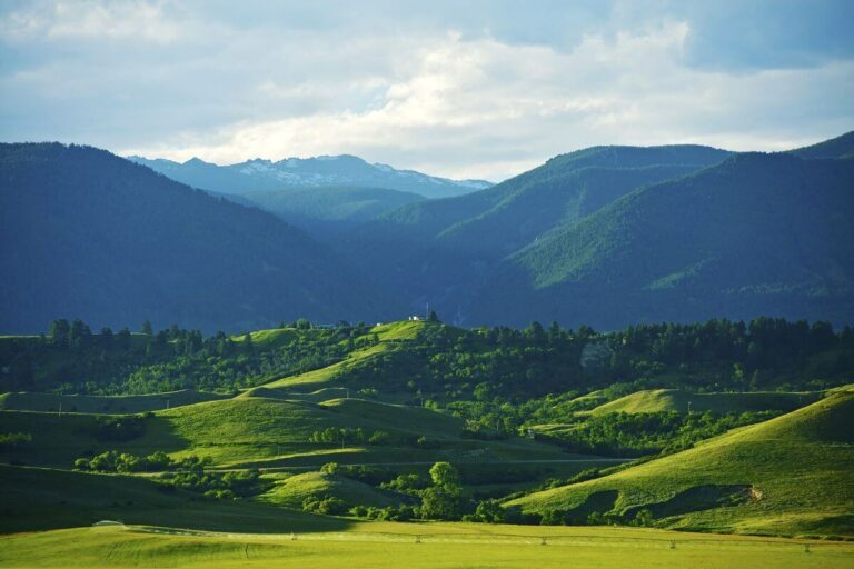 Can You Hunt on Montana State Land A Beginner's Guide Pocket Montana