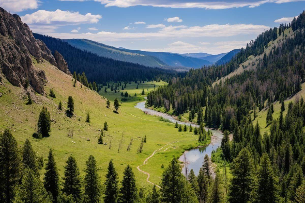 A picturesque valley with a meandering river cutting through the breathtaking mountain range in Montana.