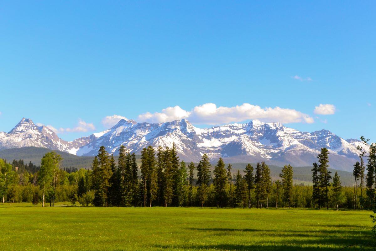 A picturesque green field in Montana with mountains in the background set against a backdrop of a clear blue sky.