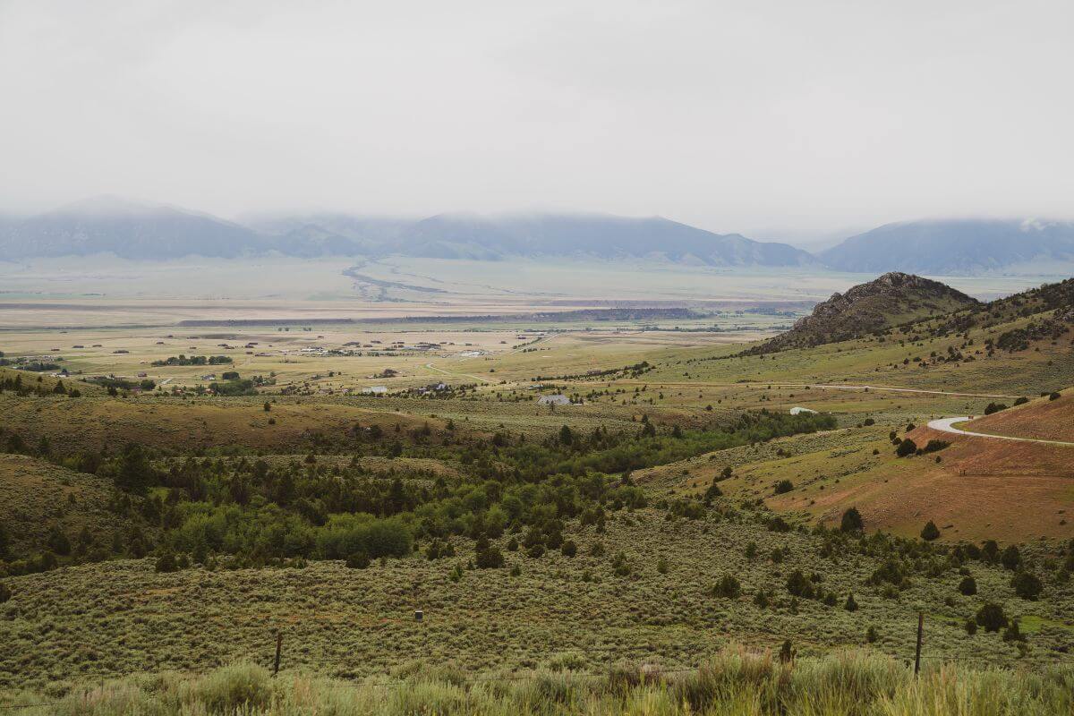 A view of a valley in Montana within a grassy landscape, with distant mountains in the background.