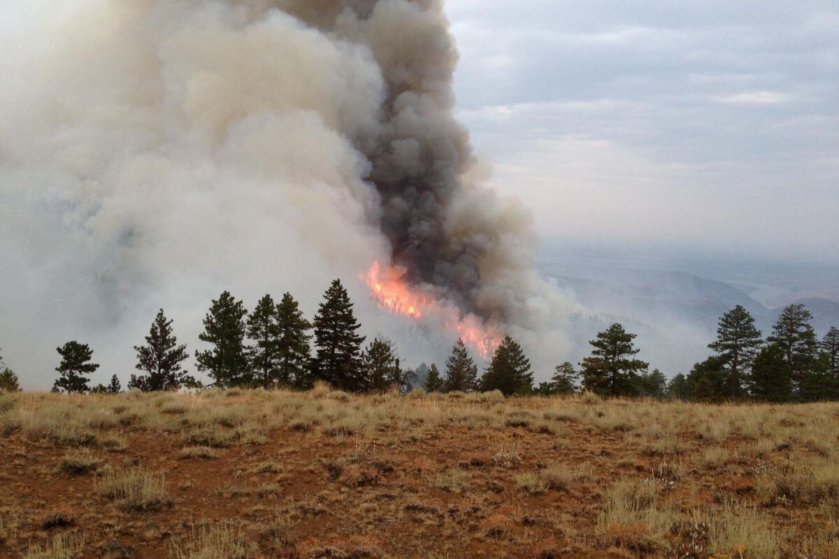A large fire burns on a hillside in Montana.