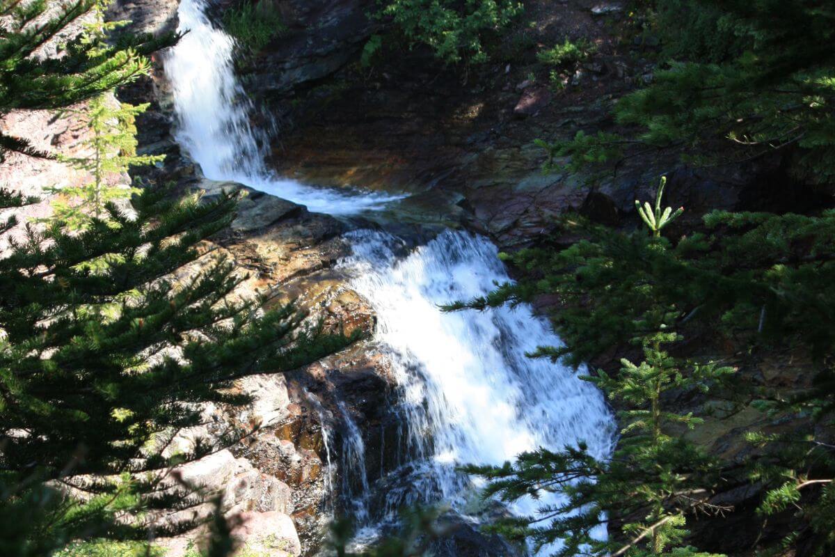 Ptarmigan waterfall cascades over rocks, framed by evergreen branches in bright sunlight in Montana.