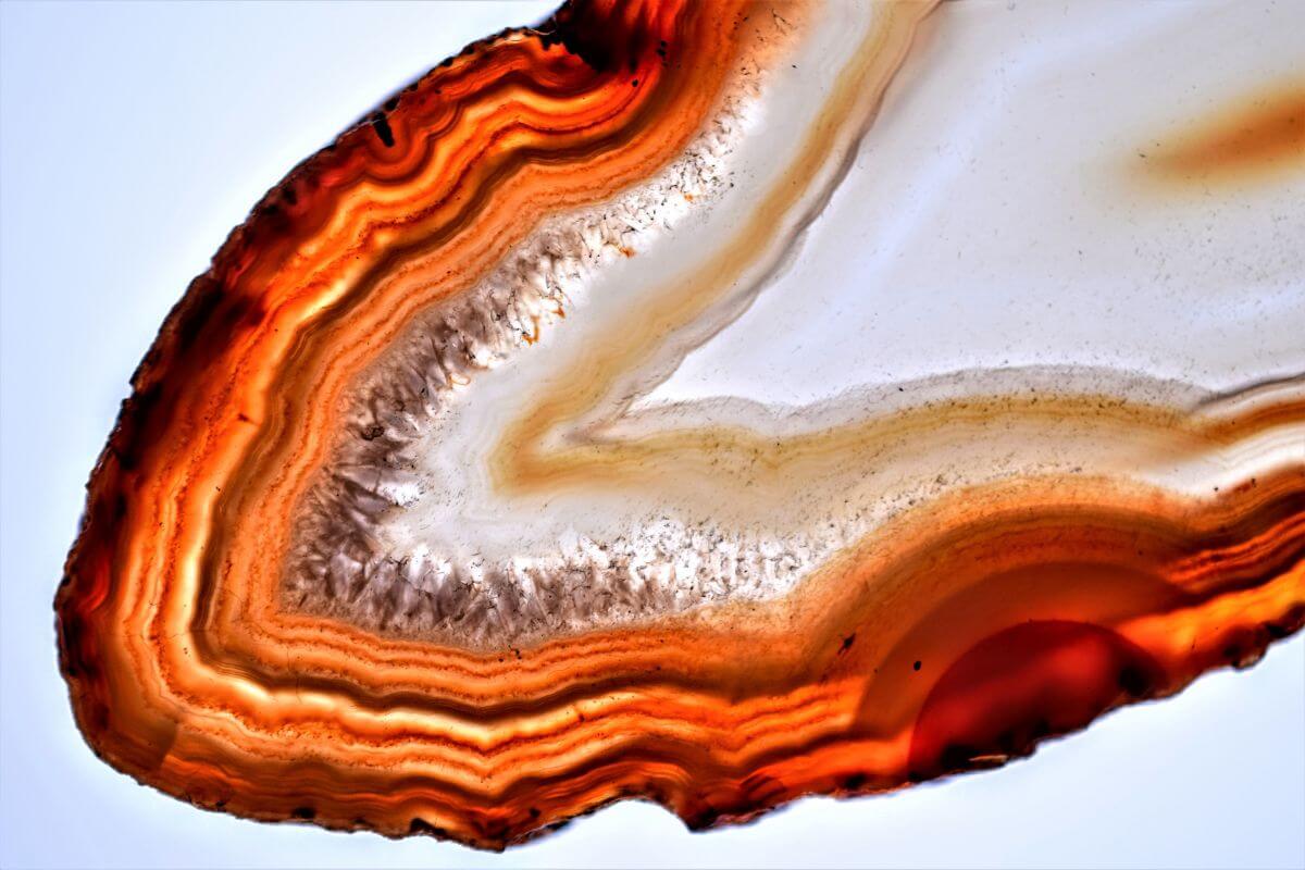 A close-up of an orange Montana Agate stone.