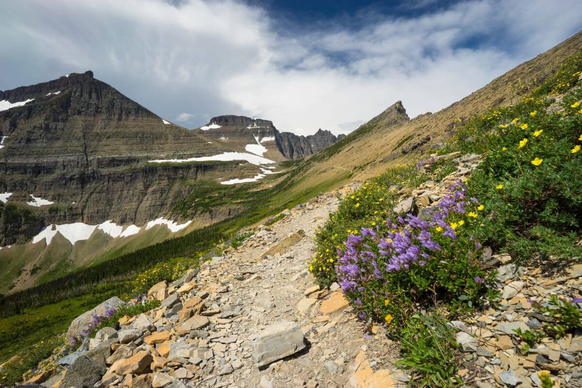 Piegan Pass Trail leading toward the towering, rugged peaks that house Piegan Falls in Montana