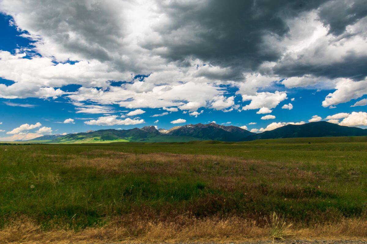 West Fork Trail grassland in Montana, featuring distant rugged mountains and green meadows.
