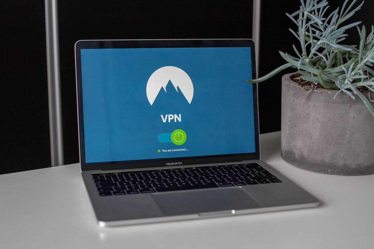A laptop screen displaying a VPN, situated beside a potted plant.