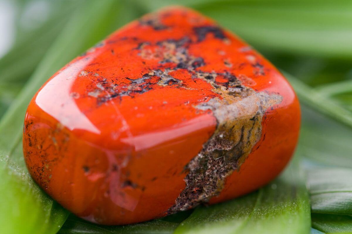 An orange jasper from Montana perched on a green leaf.