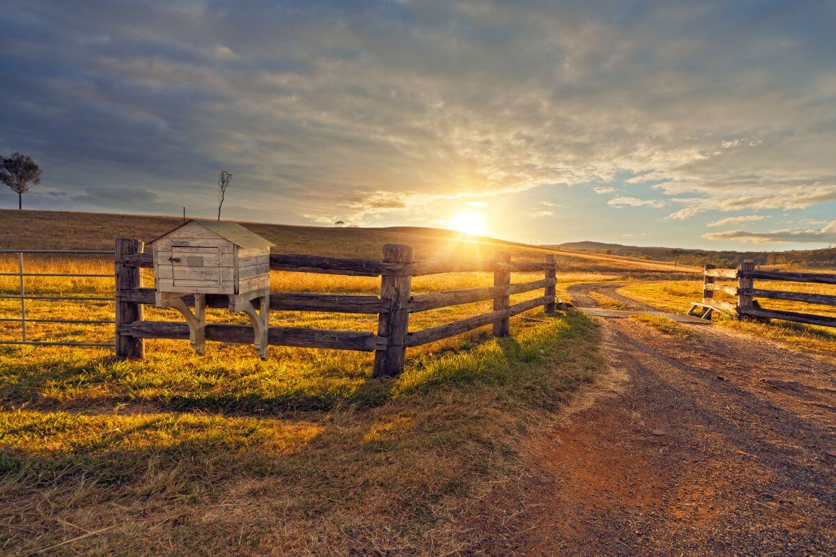 A serene sunrise at Hutterite King Colony Ranch shows a wooden fence and a dirt path winding through open fields. A small wooden structure sits on the fence. Golden sunlight bathes the grass and path.