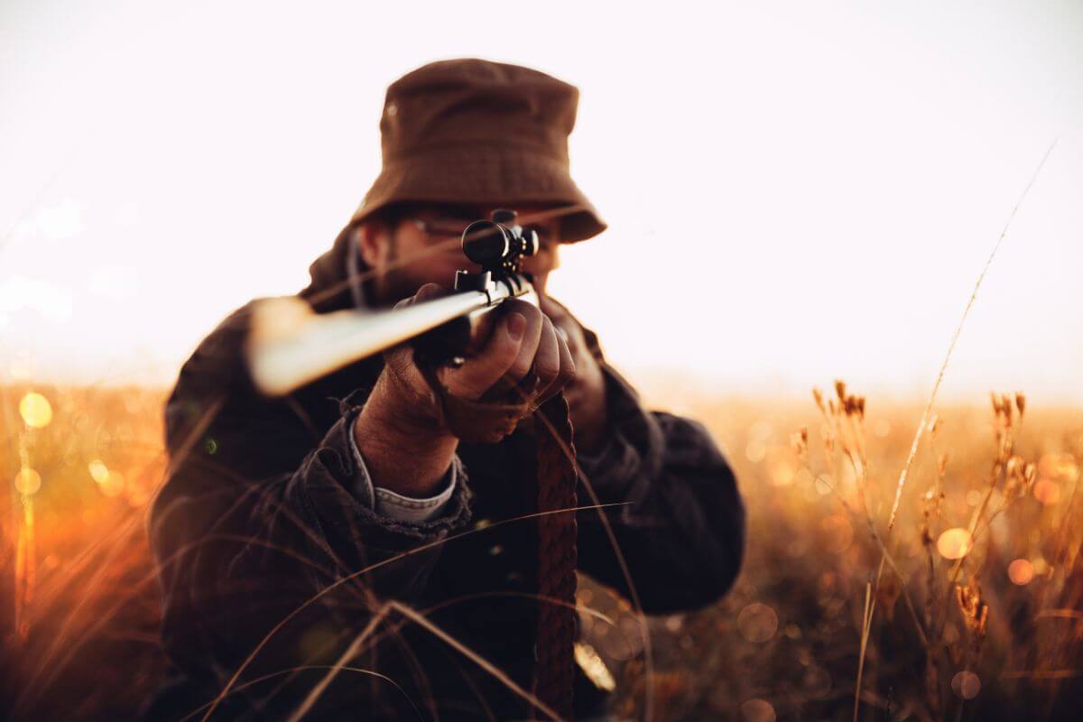 A man in a sunlit Montana field takes aim with his rifle at a target, having recently acquired preference points.
