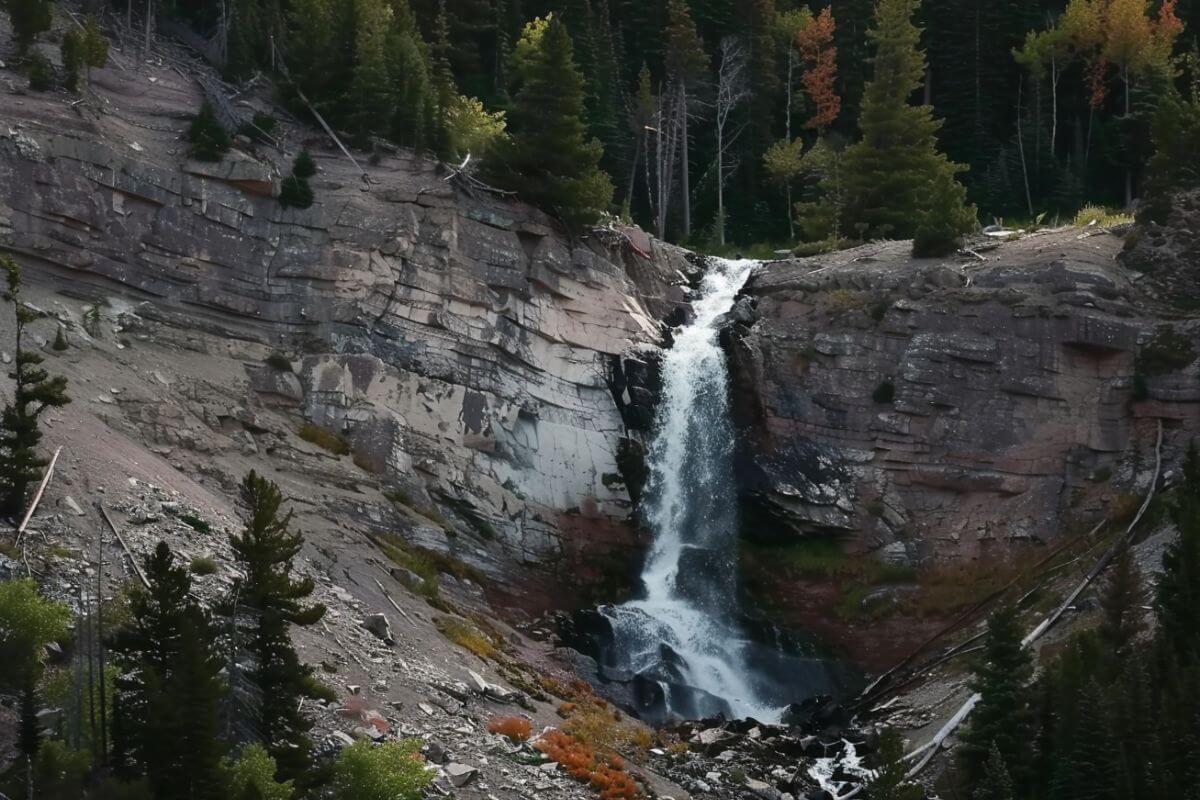 Needle Waterfall tumbles down a rocky cliff, surrounded by thick pine trees and some fall-colored bushes