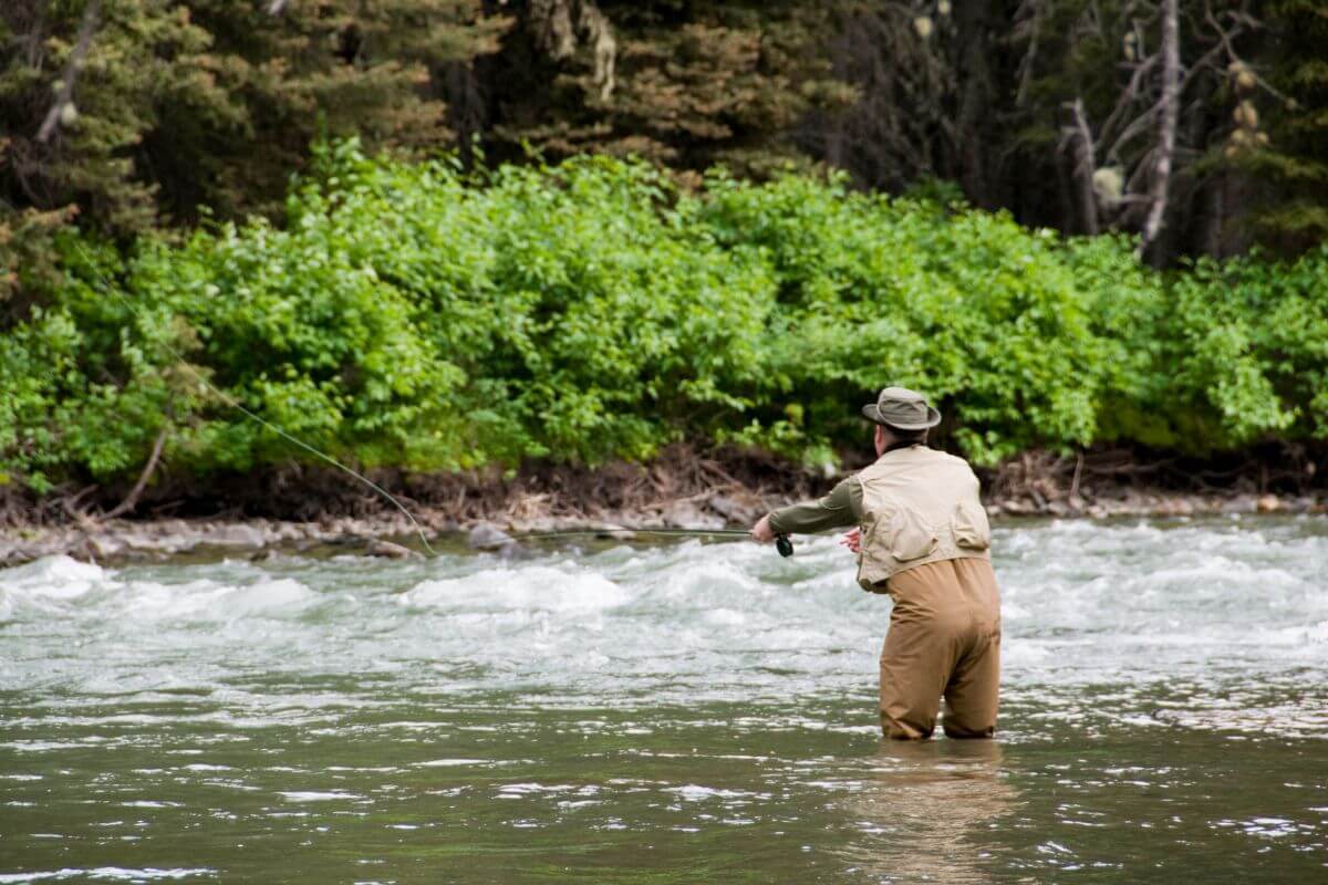 A man is fishing in a river with trees in the background