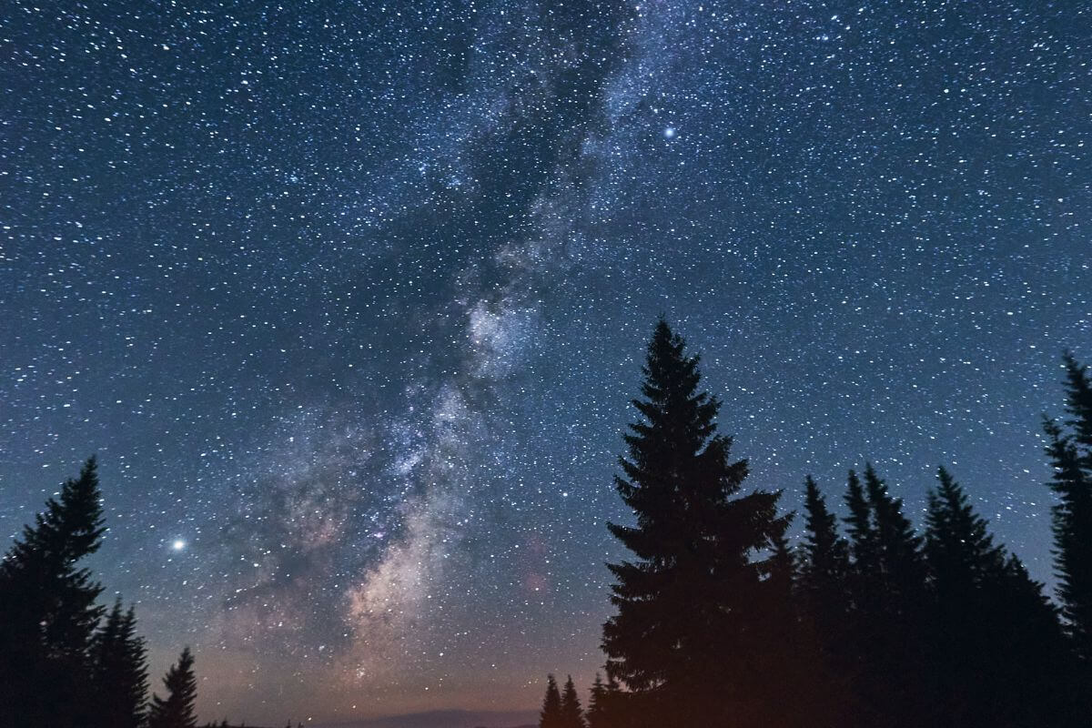 Montana Nights enchanted in the milky night sky above a forest.