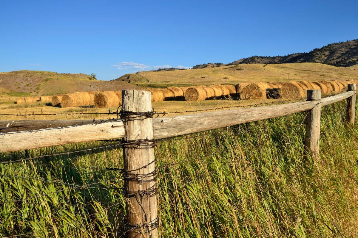 A Farm With Bales of Hay Behind a Wooden Fence