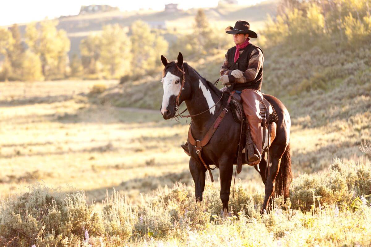 A cowboy riding a horse in Montana.