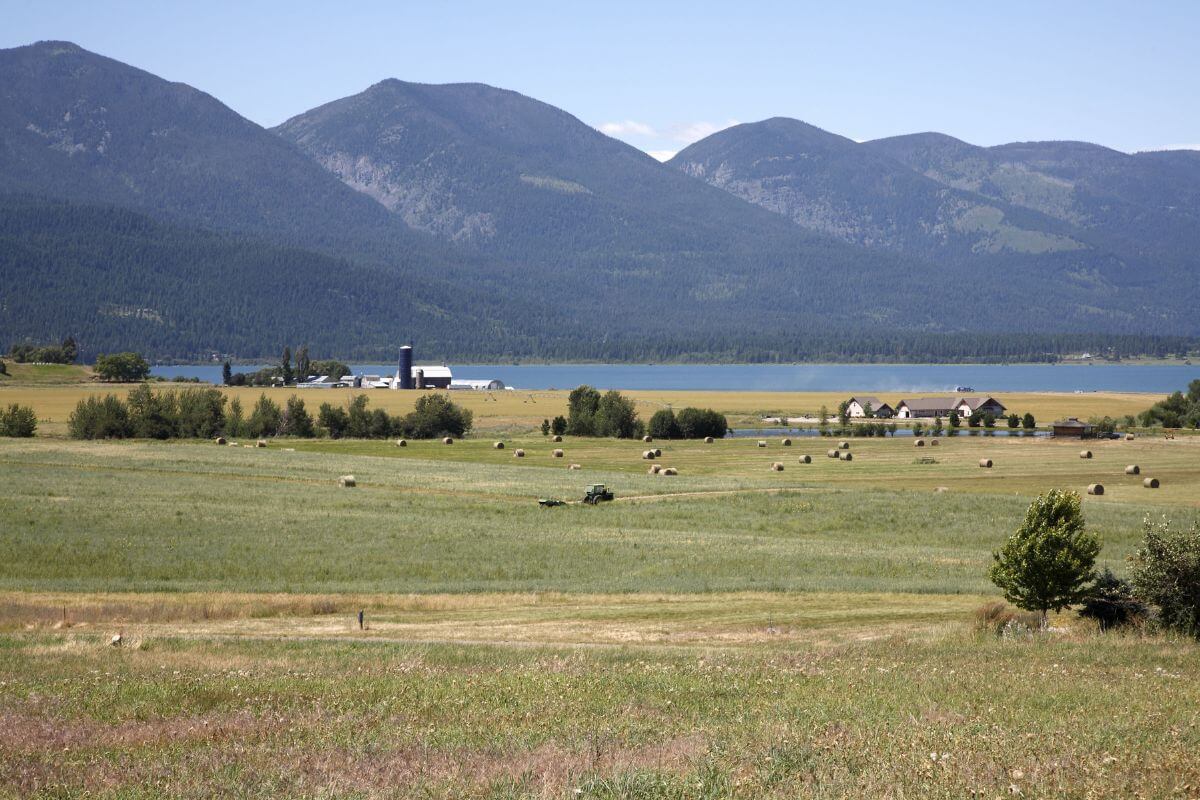 A large grassy field in Polson, Montana with mountains in the background.