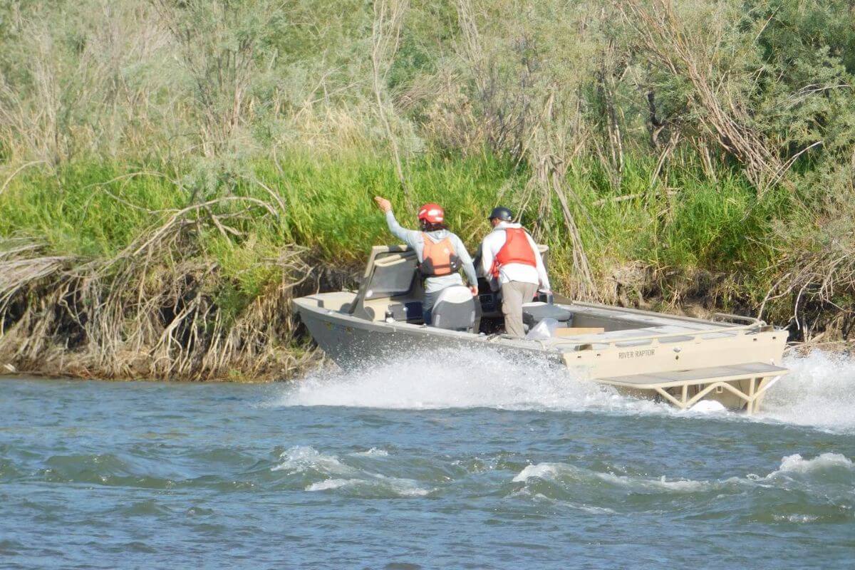 Two hunters on a guided duck hunting tour navigate the Bighorn River by boat in search of ducks and other waterfowl.