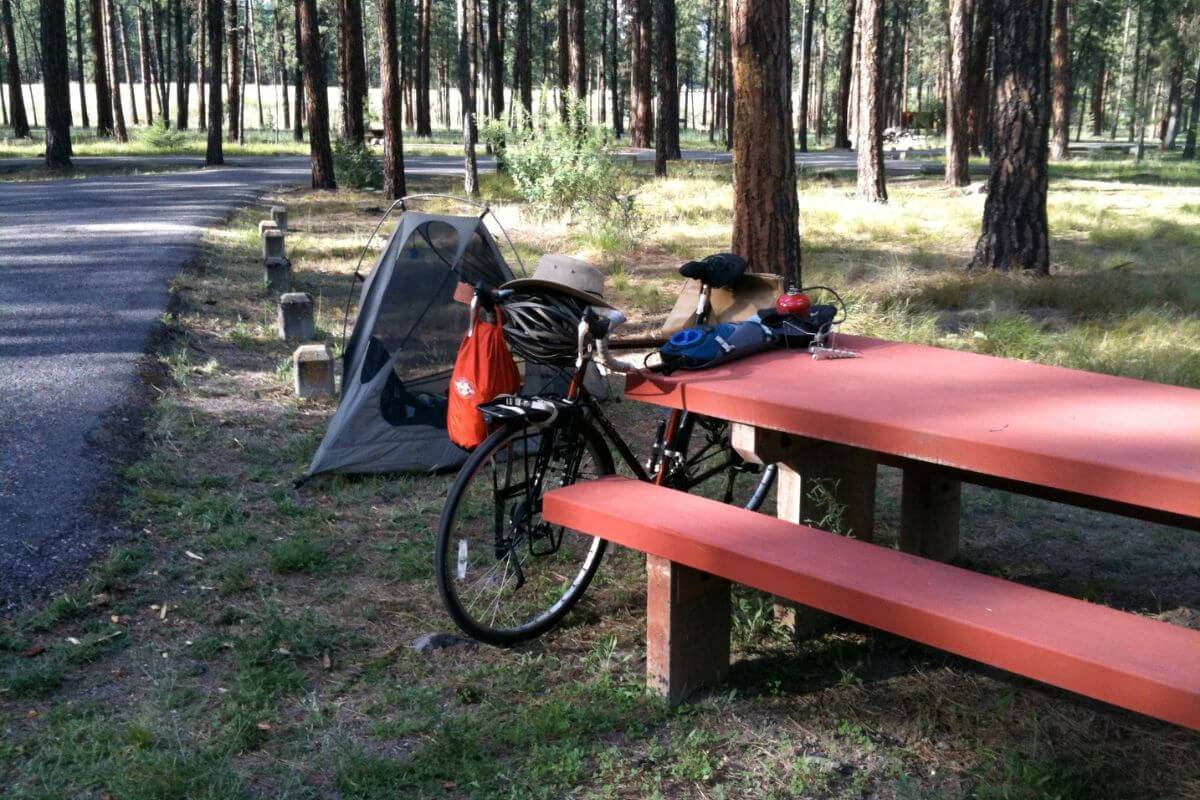 A picnic table nestled against a picturesque wooded area in Montana.