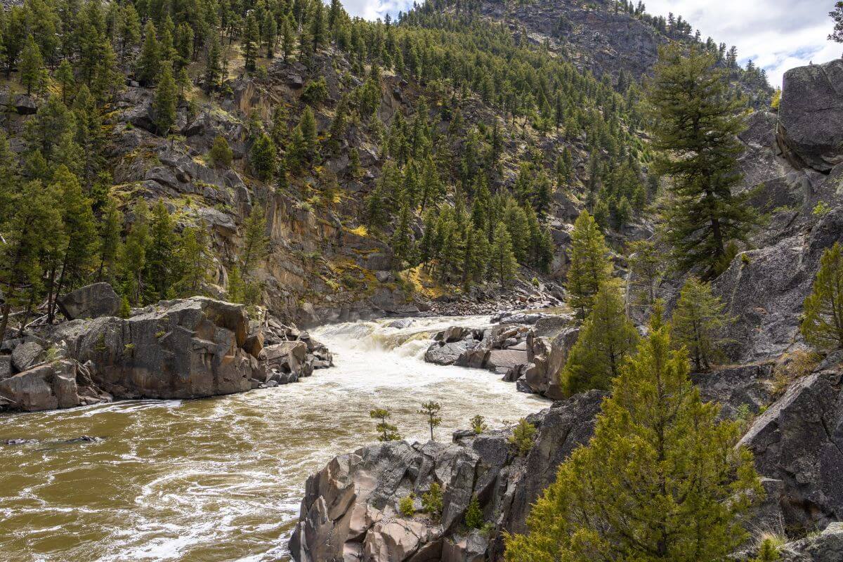 The section of Yellowstone River near Knowles Falls amid rocky mountainside terrain with trees.