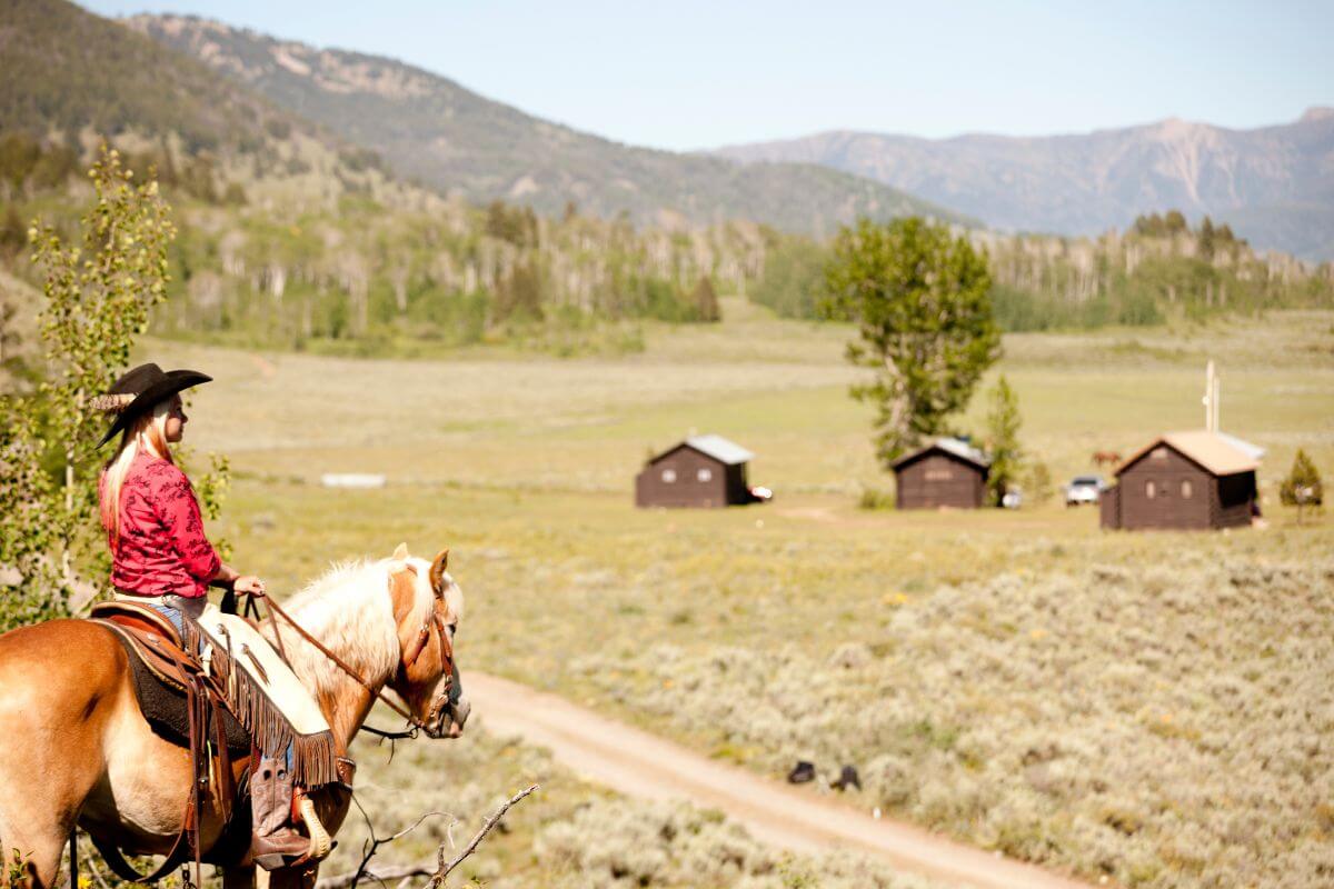 A cowgirl riding a horse on a dirt road in Montana.