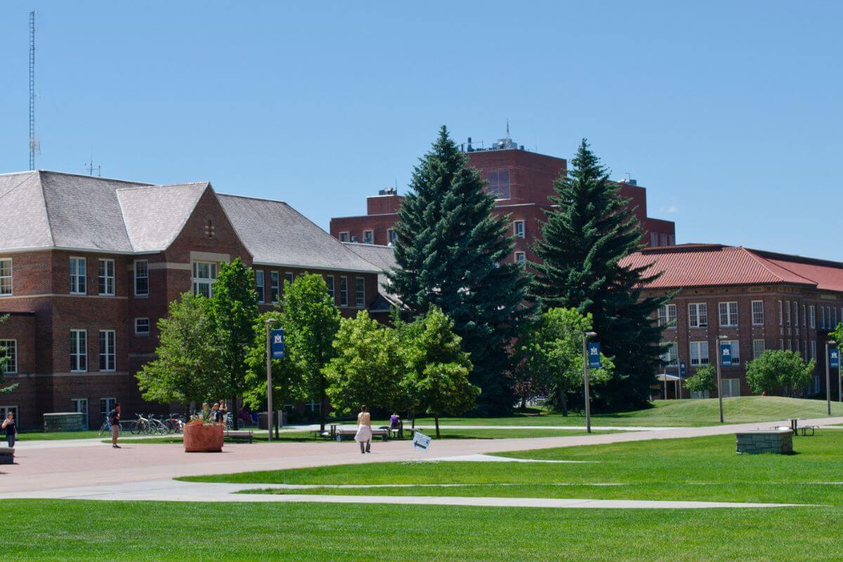 Montana State University 