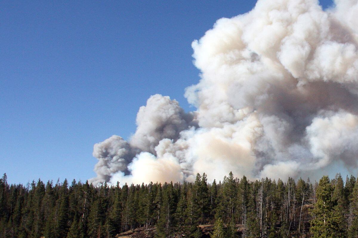 A large plume of smoke rises out of a forest in Montana, indicating a spreading forest fire.