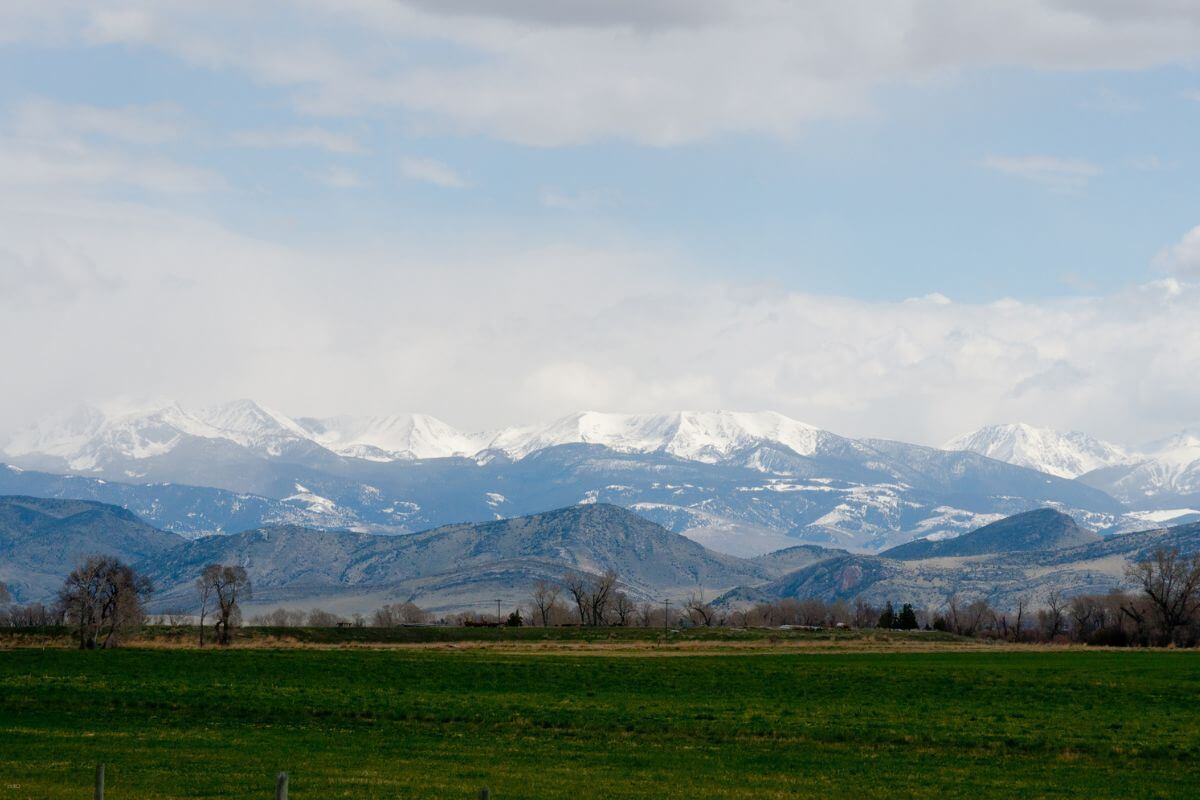A green field with snowcapped mountains in the background.