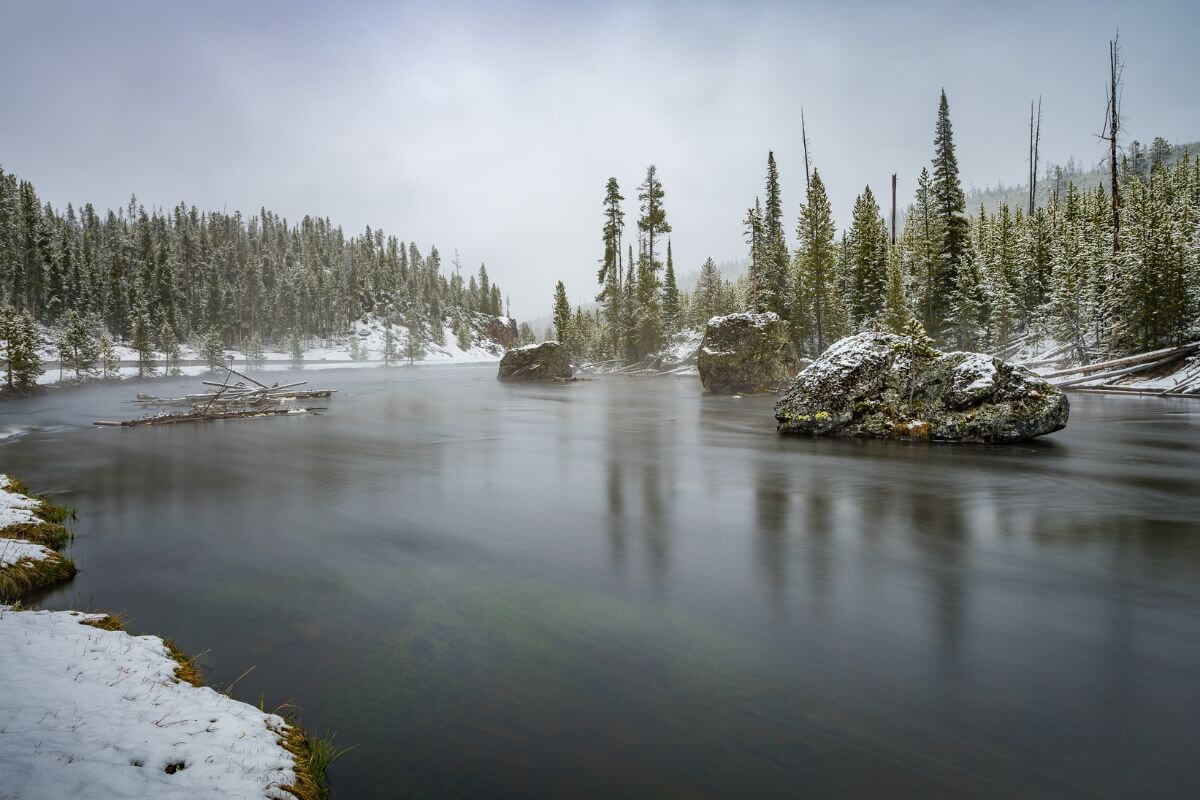 Snow-Covered Riverbanks Lined With Trees in Montana