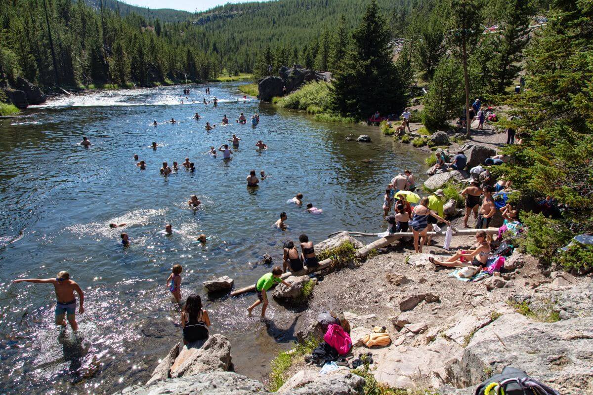 A group of people are swimming in a natural pool in Yellowstone.