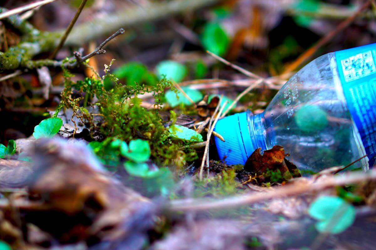 A discarded blue plastic bottle on a forest floor, an instance of littering prohibited by Montana hunting regulations.