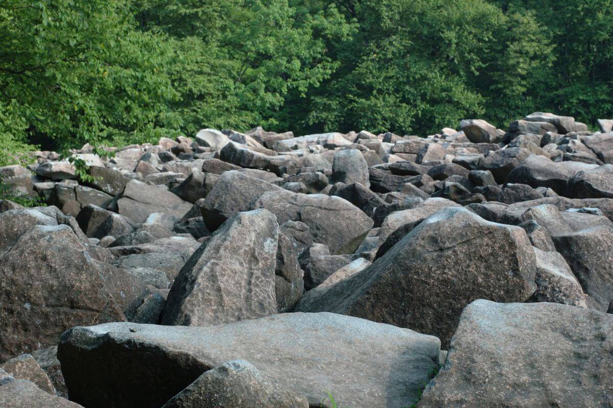 A large group of rocks, the Ringing Rocks in Montana, in a wooded area.
