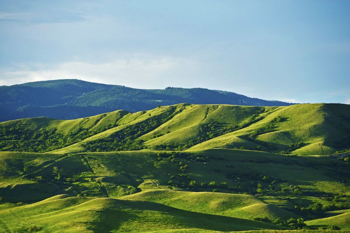 A green hill with mountains in the background and pros cons of living in Montana.
