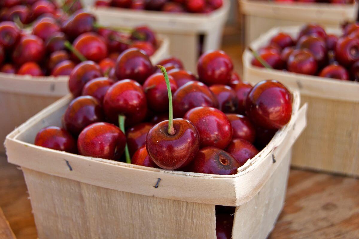 Cherries in baskets on a wooden table in Montana.