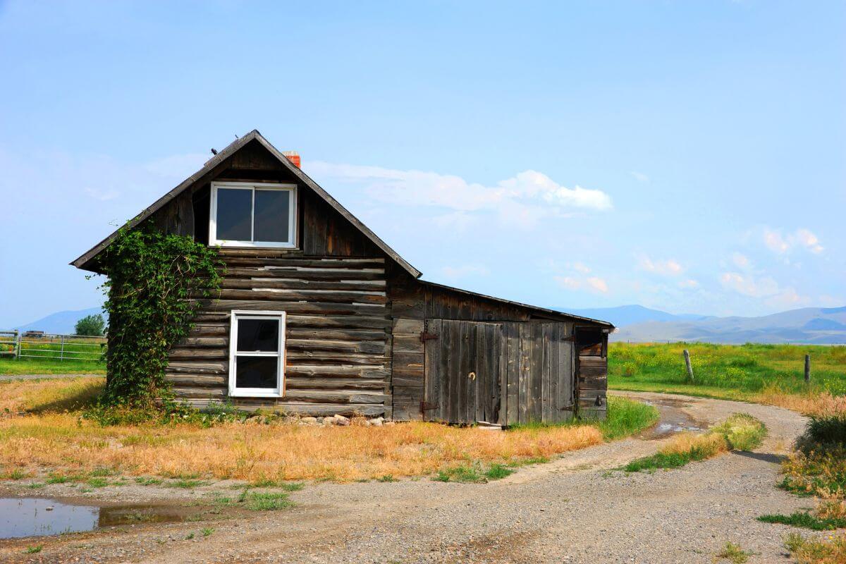 A small log cabin by a dirt road in rural Montana.