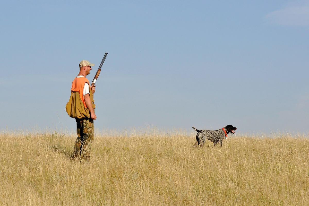 A hunter with his hunting dog traverse a dry grassy field in Montana, scouting for potential game during hunting season.