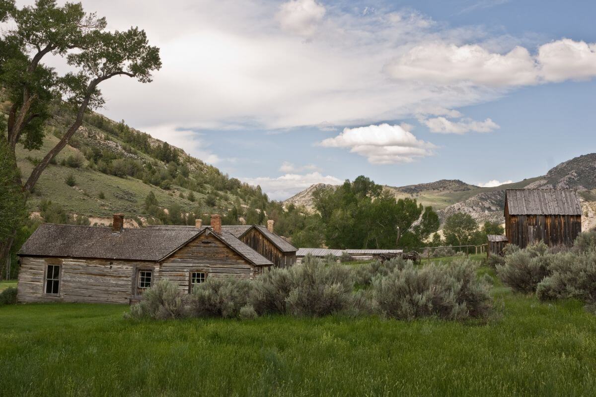 View of Old Montana with Barns and Trees