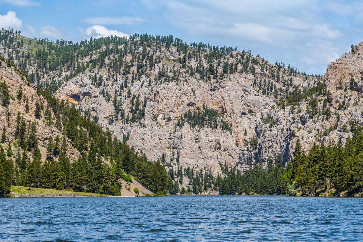 A lake nestled among Montana's majestic mountains and lush trees.