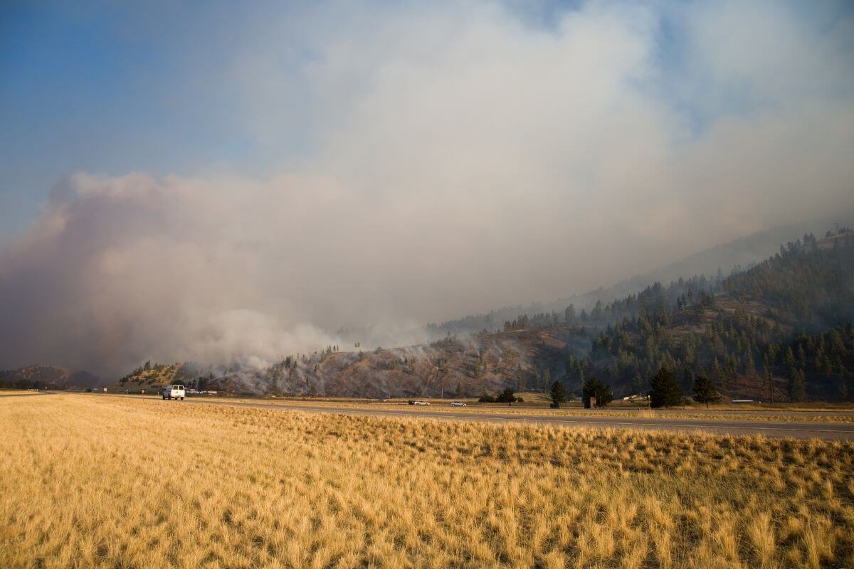 A fire burns in the background of a dry field in Montana, near a road.